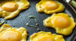 plant based eggs taste good