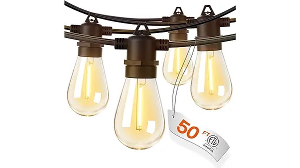 50 foot edison bulb string