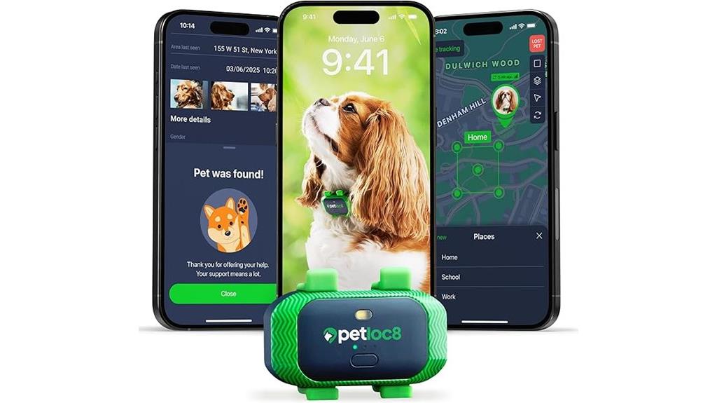 real time dog tracker