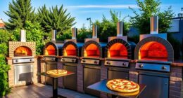 top outdoor pizza oven reviews