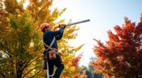 top pole saw recommendations