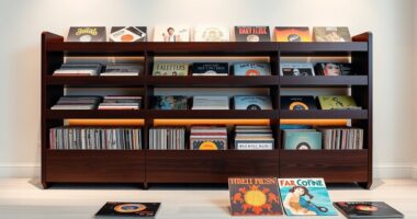 top vinyl record storage options
