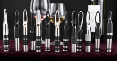 top wine aerators 2025