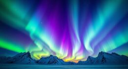 auroras peak during solar maximum