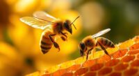 bees use sun scent