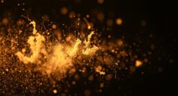 household dust composition secrets