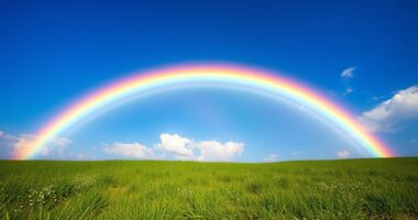 rainbow color spectrum diversity