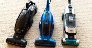 top pet carpet cleaners