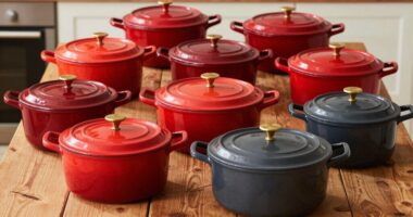 affordable dutch oven options
