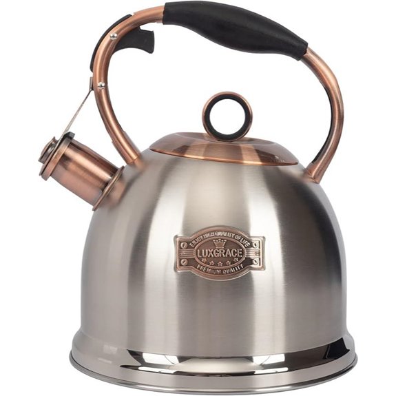 Whistling Stainless Steel Tea Kettle 3 Qt