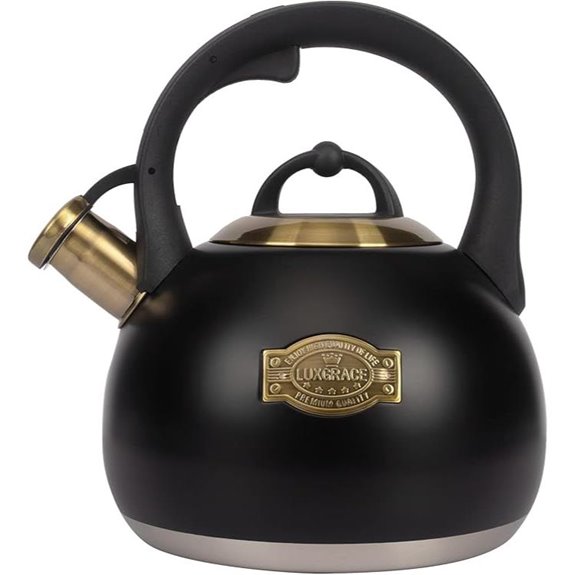 Stainless Steel Stovetop Tea Kettle 3.1 Quart