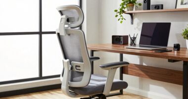 comfortable supportive office seating