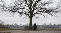 loneliness as public health