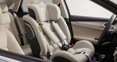 long lasting convertible safety