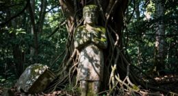 persistent misconceptions resist belief