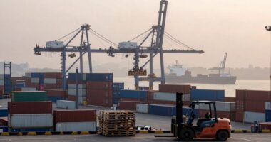 supply chain vulnerabilities persist