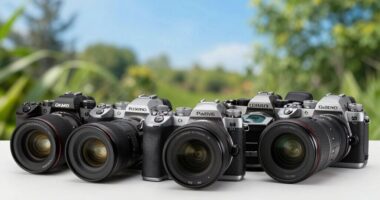 top dslr cameras 2026