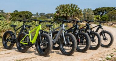top fat tire e bikes