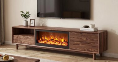 top rated electric fireplace stands