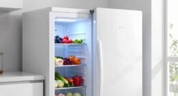 top upright freezers 2026