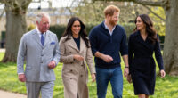 King Charles Prince Harry Meghan Status