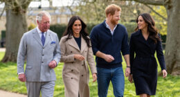 King Charles Prince Harry Meghan Status