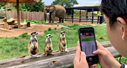 Pets Signal Monitor: Yorkshire Wildlife Park Trends
