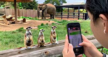 Pets Signal Monitor: Yorkshire Wildlife Park Trends